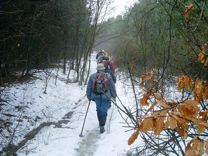 20100220 020.jpg